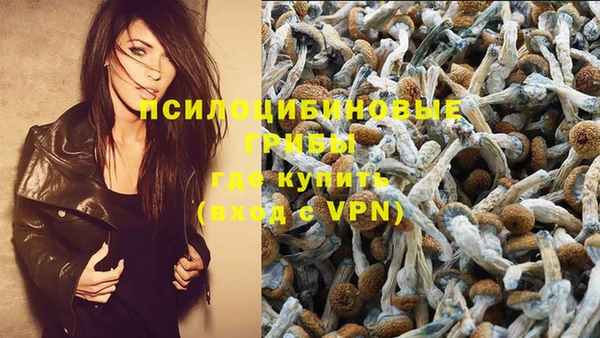 винт Верхний Тагил