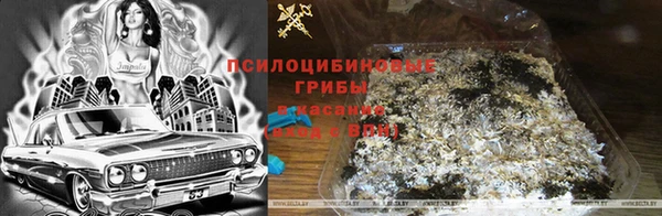 кокс Верея