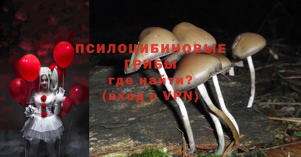 кокс Верея