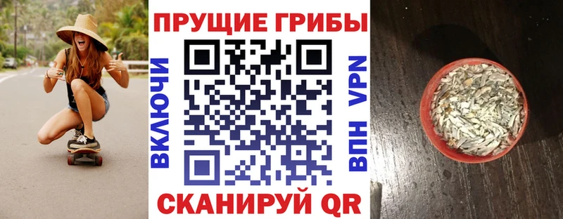 Псилоцибиновые грибы Psilocybine cubensis  Чебоксары 